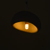 Birds Nest Pendant Light