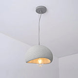 Birds Nest Pendant Light
